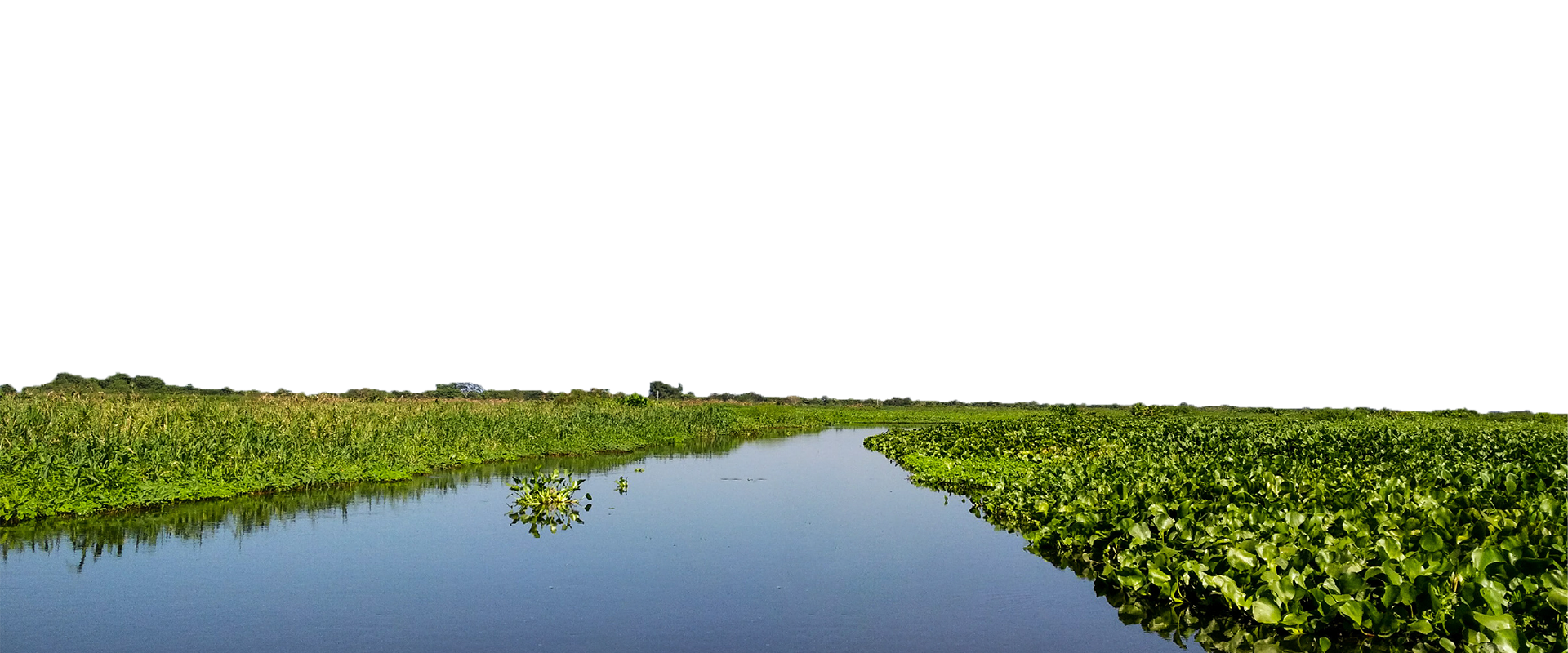 Cienaga